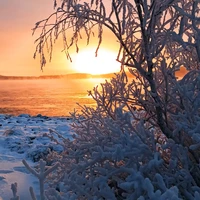 Фото отзыва 3: экскурсия "На аэролодке по зимней Ладоге и шхерам — из Сортавалы"