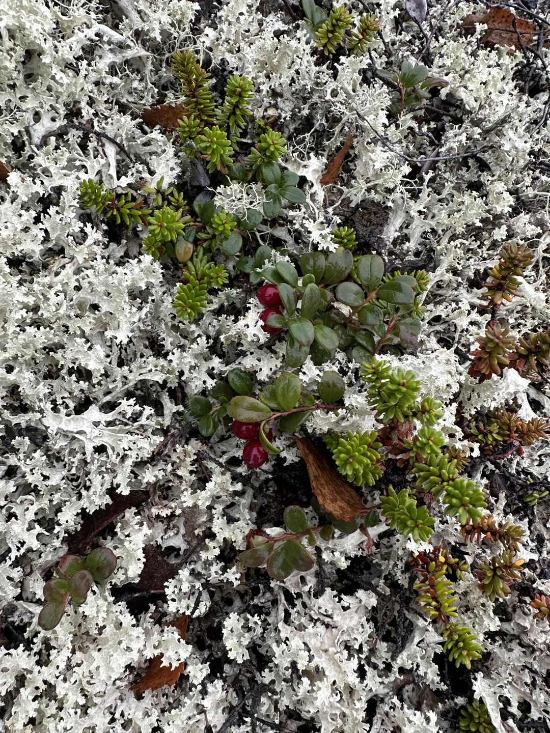 Перелистываю фотографии и с восторгом вспоминаю наше путешествие. Все таки эта экскурсия не для всех, с