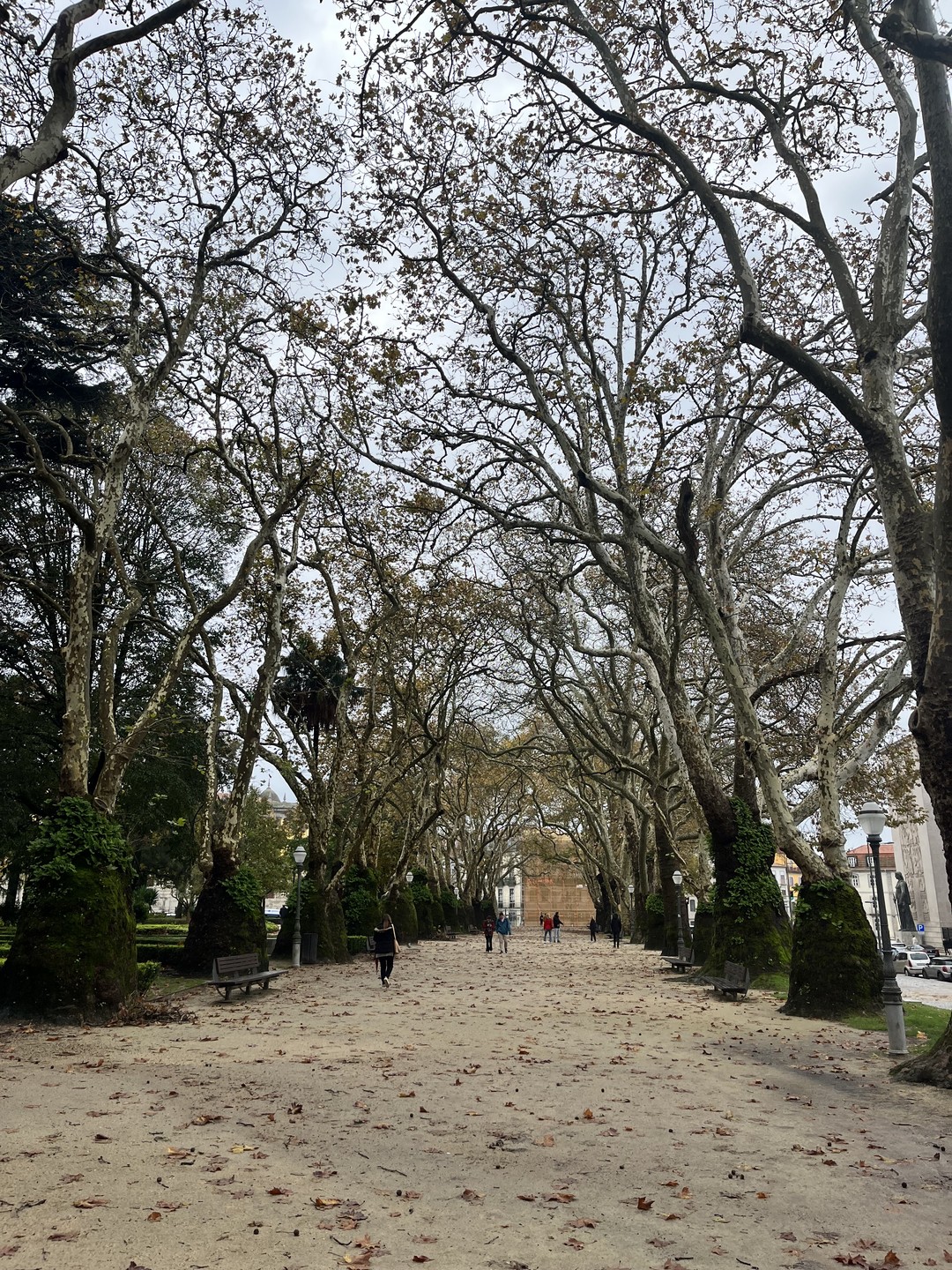 Детям очень понравилась экскурсия. Огромная благодарность Анне за экскурсию и приятное общение. Виды супер, экскурсию рекомендую