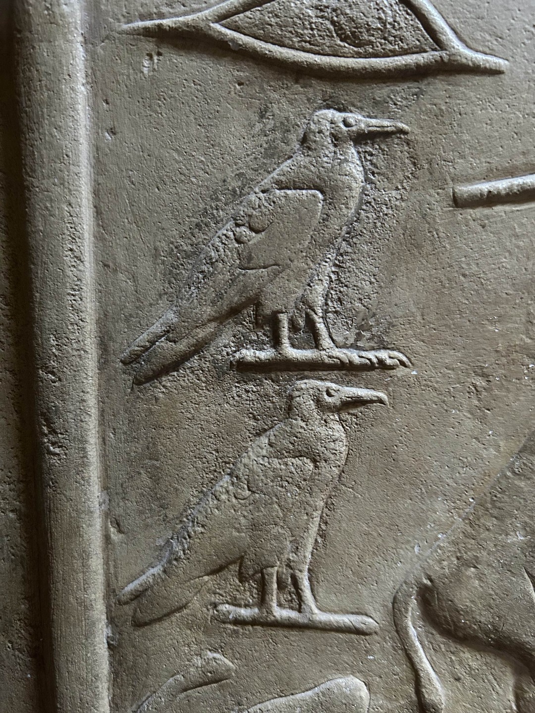 Добрый день. Большое спасибо команде Надежды за организацию нашего времени в Каире. Были в городе два