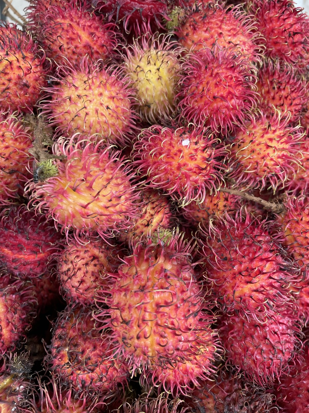 Очищение разума и души на Бали (Надя)