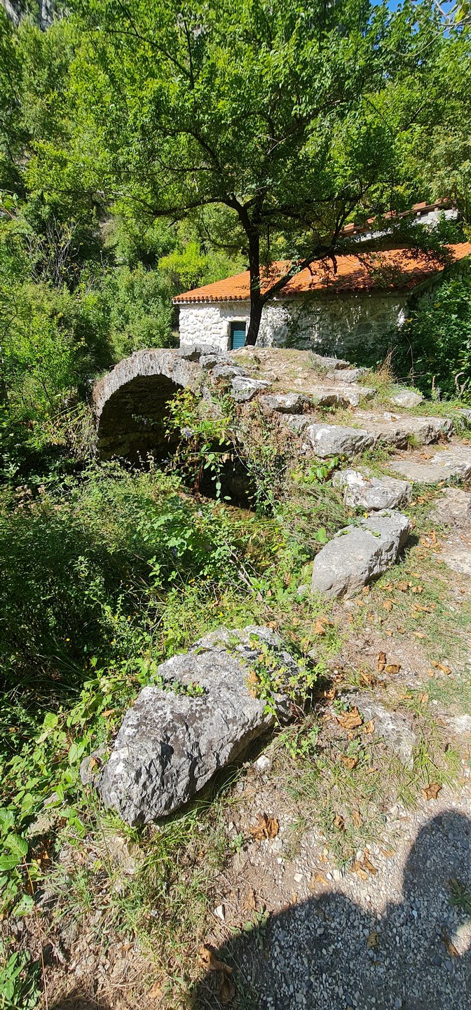 По Скадарскому озеру с черногорцем (Владимир)