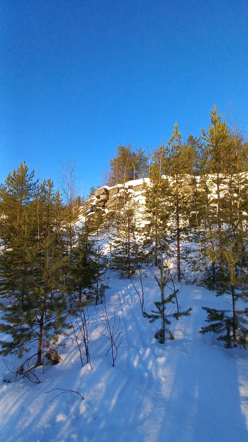 Великолепная экскурсия!