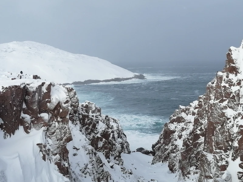 От океана до белоснежных гор: тур-перезагрузка в Мурманск, Териберку и на «Большой Вудъявр»