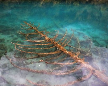 Исследуем долину Цзючжайгоу