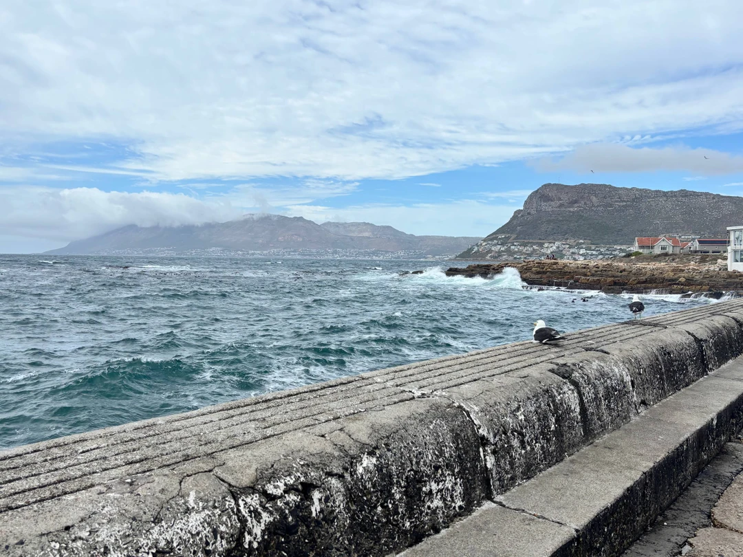 Спасибо Юлии за прекрасную обзорную экскурсию! Ожидания оправдались на все 100%. К небольшому сожалению, в день