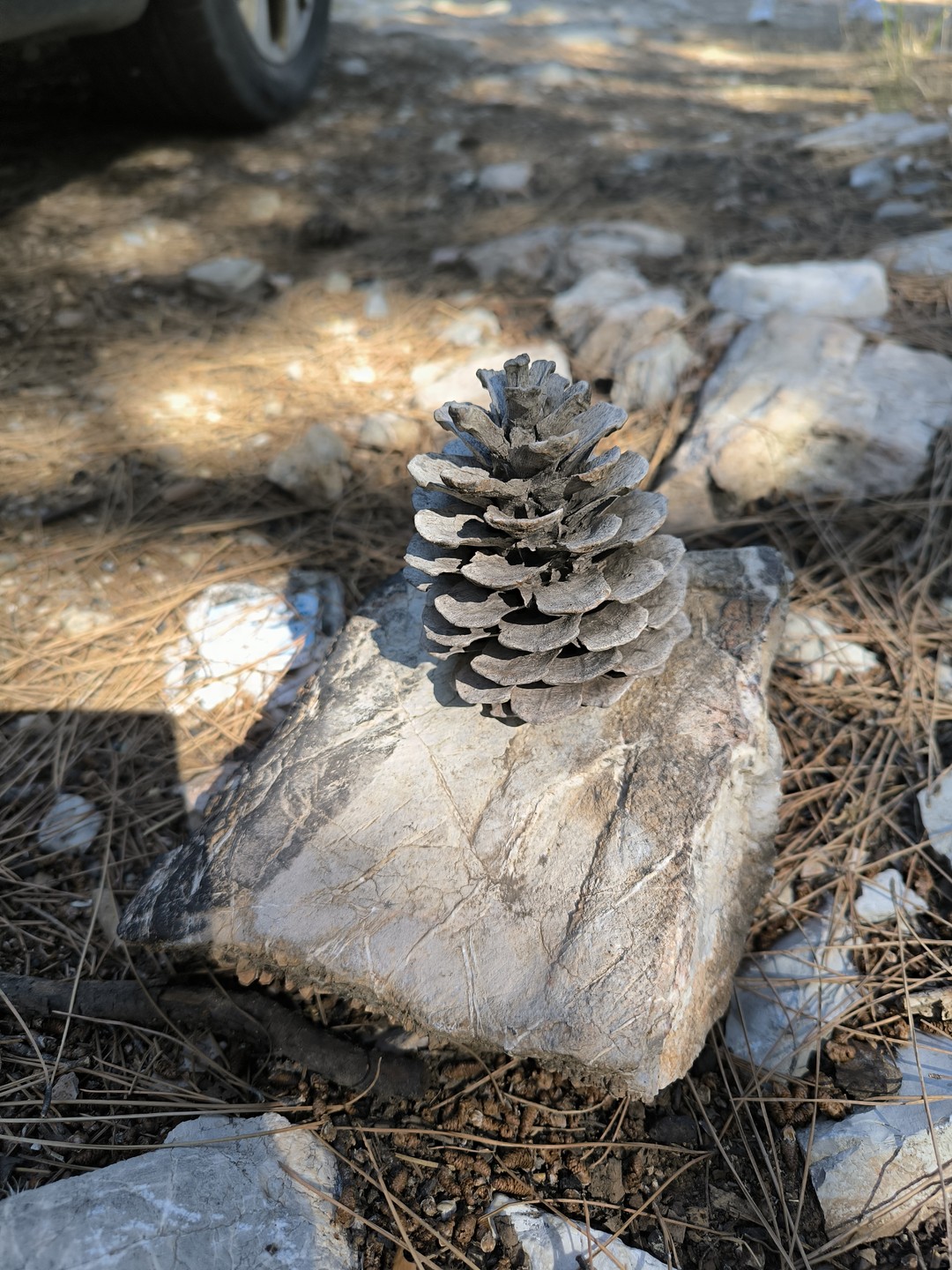 Супер! Будьте готовы к кайфу! И ещё будьте осторожны… ….. шутки Кирилла вылетают в обычном формате беседы. Много локаций с шикарными фото!