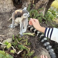 Фото отзыва 2: экскурсия "Тропический парк Янода: приключение в сердце джунглей (всё включено)"