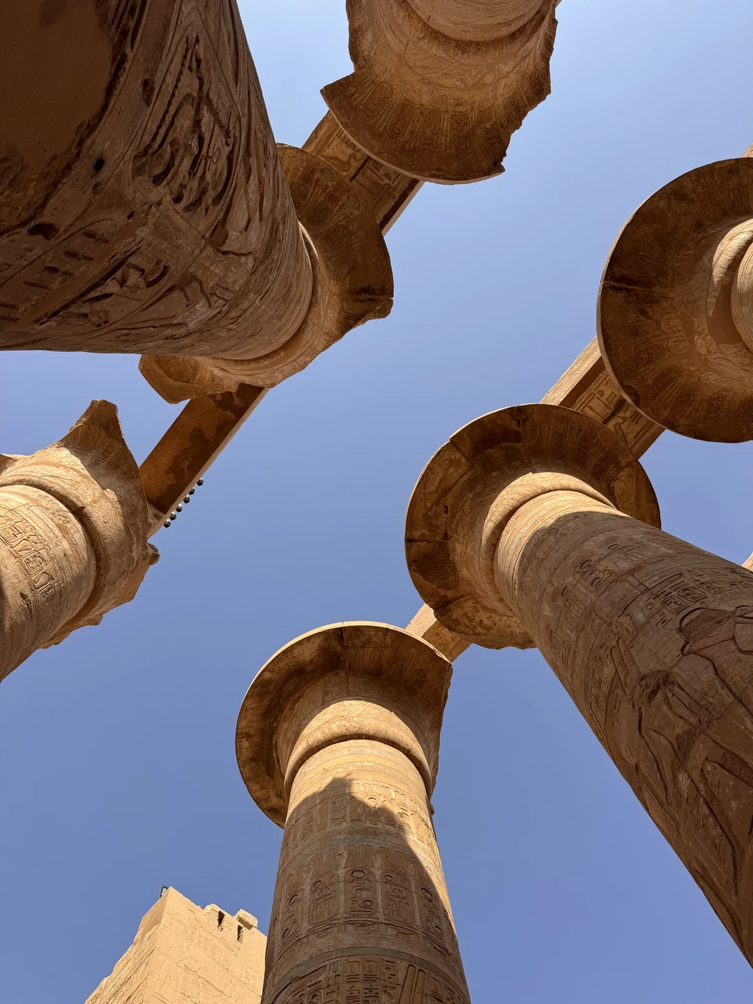 Все понравилось, особенно храм в Дендере! Спасибо гиду Шаркави за погружение в историю