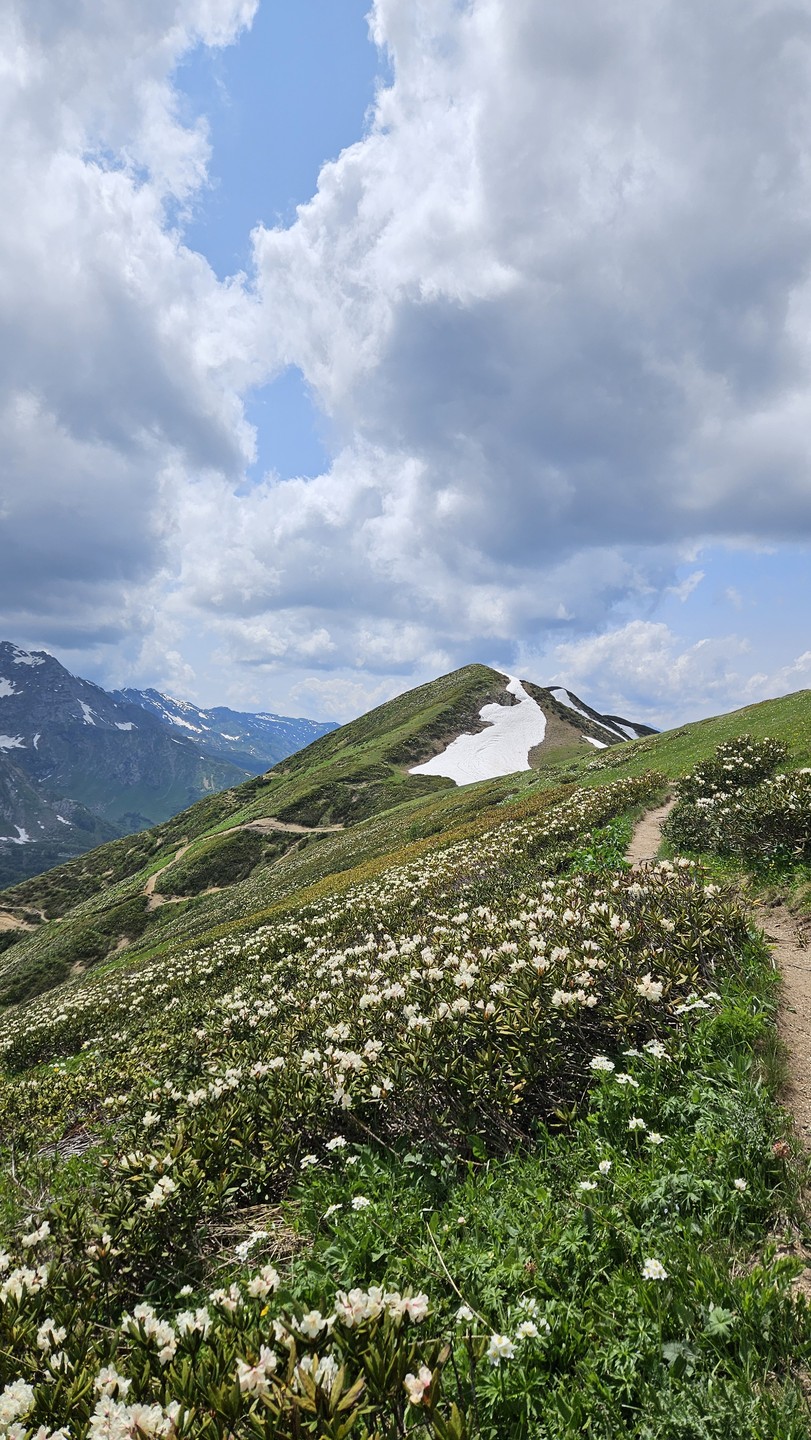 Это были потрясающие три дня в цветущих горах с Инной и Славой!