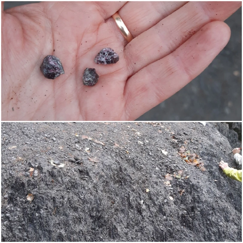 Сегодня (19.09.) наконец-то добрались до Ладоги