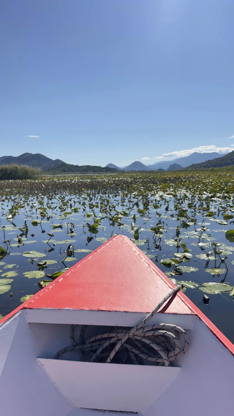 Отличная экскурсия, мы были в таком восторге что поехали с Иваном ещё и на следующий день