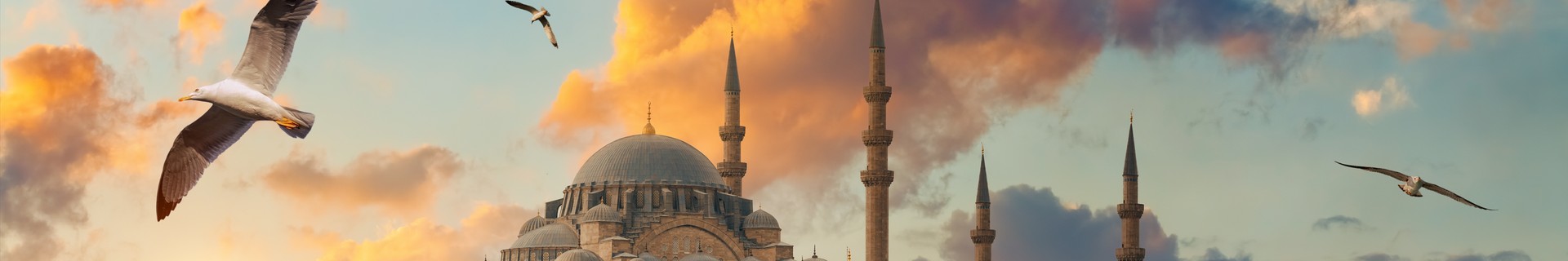 https://resize.tripster.ru/rsRdwXnPwo3A90lgf5G5kn7b-Os=/0x79:2861x556/1920x320/filters:no_upscale()/https://cdn.tripster.ru/photos/86f52d83-1a4e-4052-9525-cd29f4b3b4ba.png