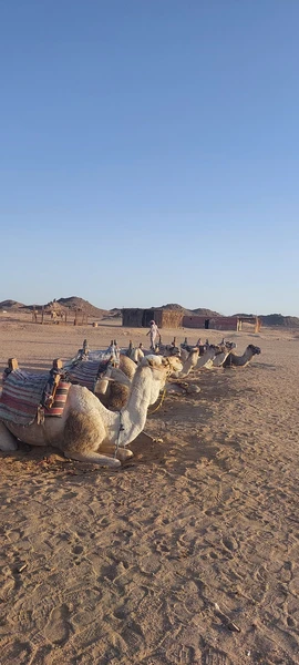 надо обязательно трекенговые кросовки для подъёма на горру, что б увидеть закат и русскоязычного рассказчик про