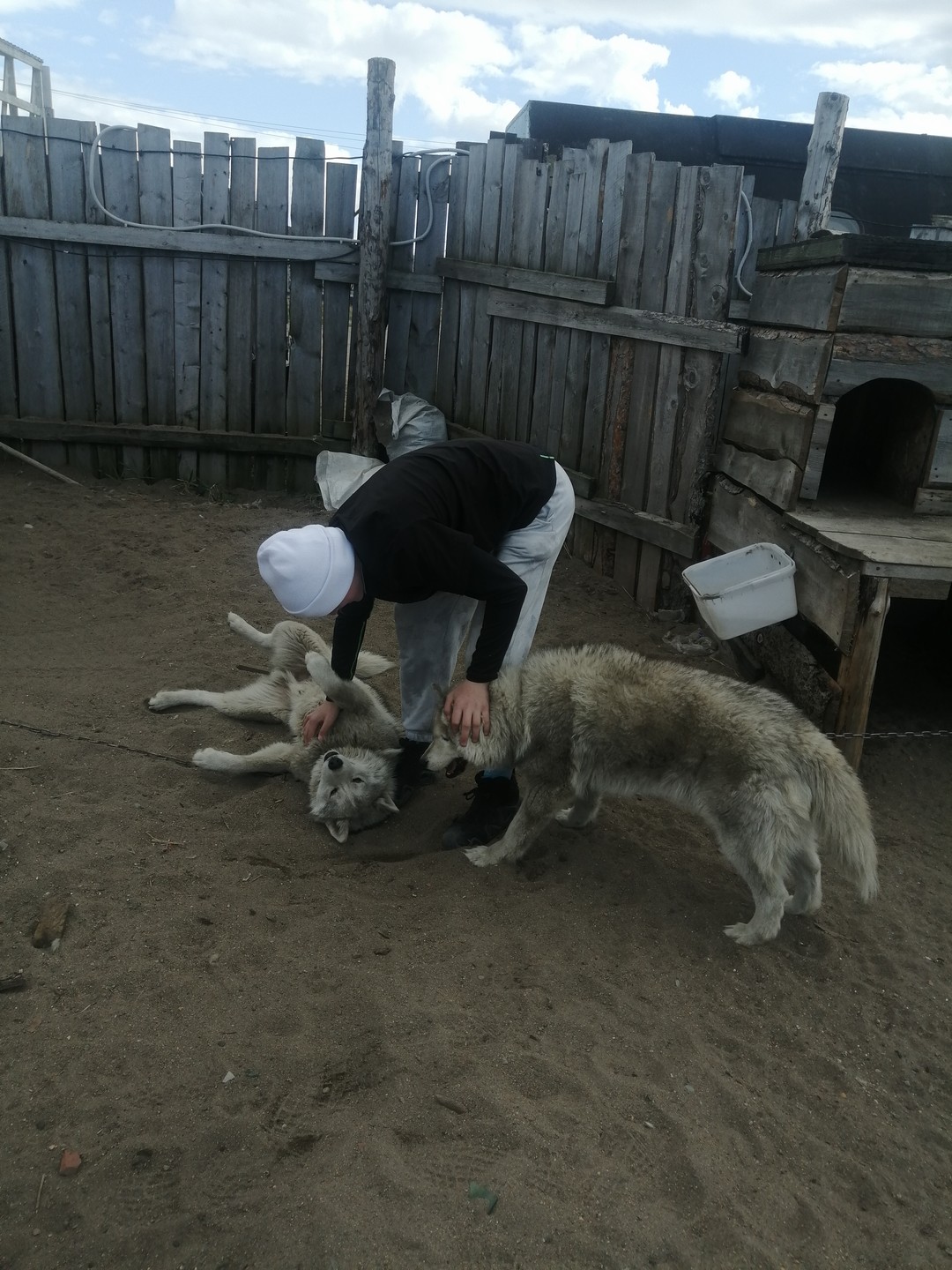 29.05.2025 экскурсию по Териберке и заповеднику нам проводил гид Сергей. Все прошло изумительно, что навсегда оставит