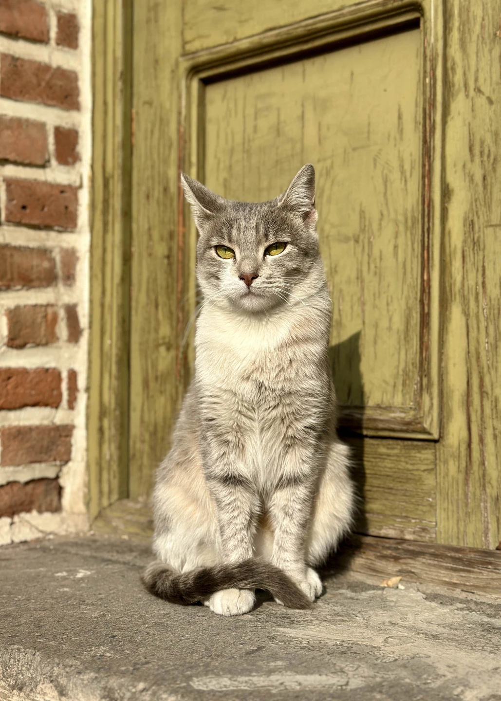 Очень нескучная экскурсия вокруг Северного проспекта и не только, Арам - старательный гид, уникально подобраны места. Рекомендую от души 🌸
