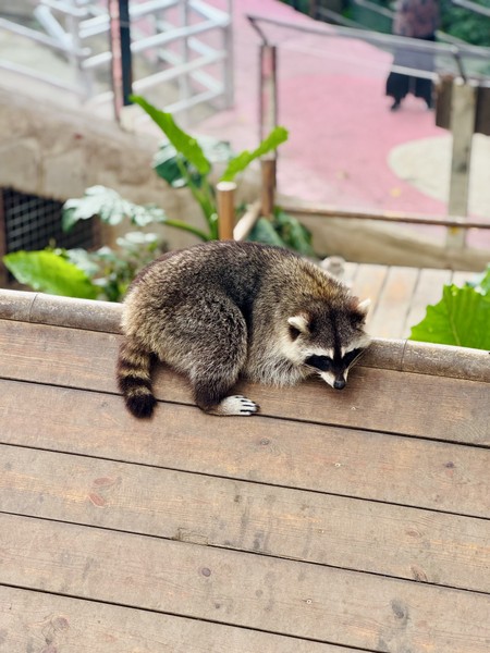 отличная прогулочная экскурсия! Экскурсич заняла 5 часов, как и было заявлено. Очень красивые виды открываются с