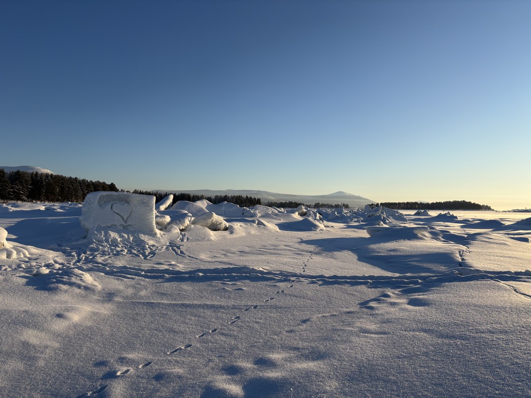 Зимняя природа Севера! После поездки и не знаю, что может быть прекраснее! Дмитрий был нашим гидом