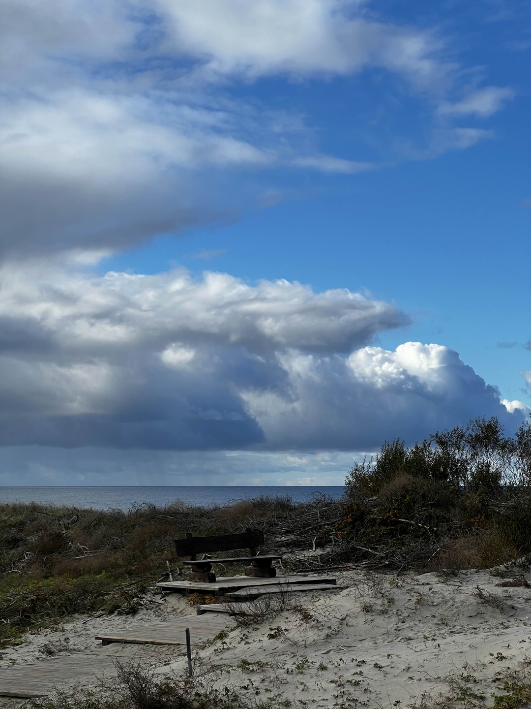 Комфортная поездка на Куршскую косу (Юлия)