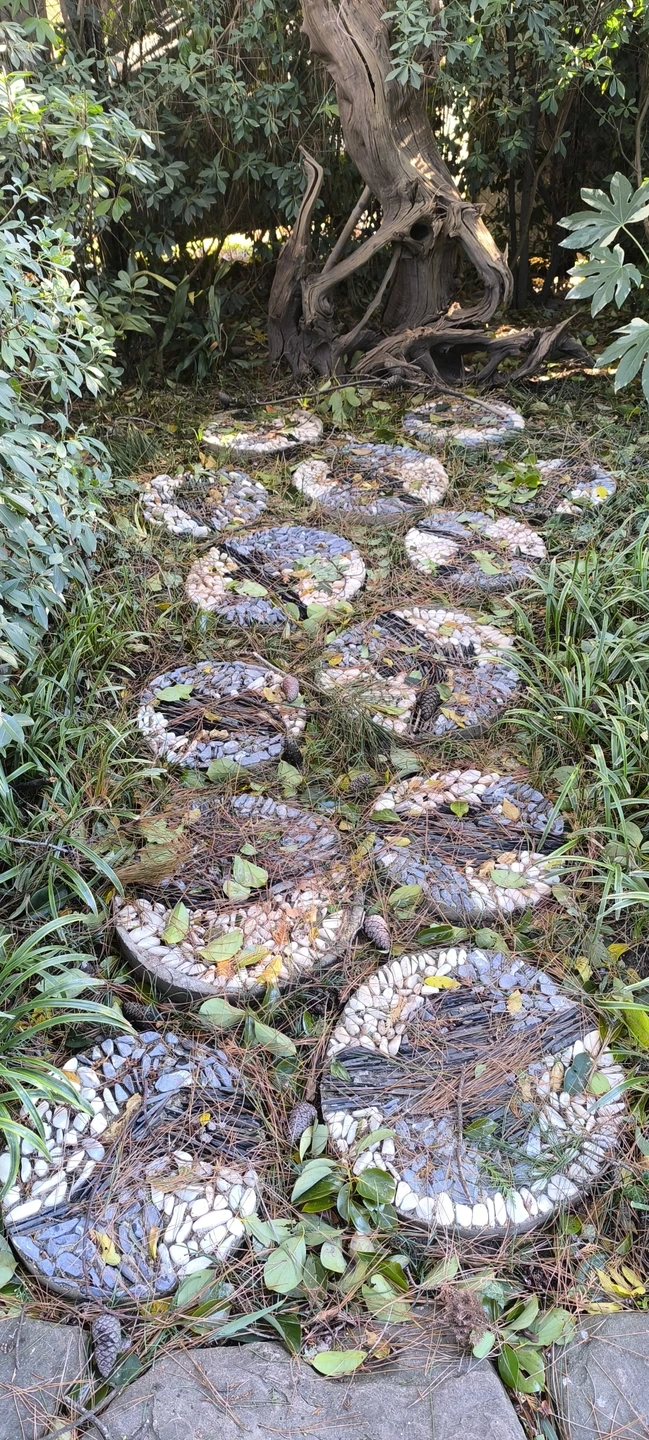 Сочи глазами местных (Катерина)