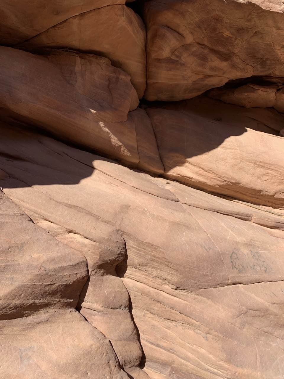 Замечательная экскурсия. Сначала мы приехали на красное море, плавали у рифа в гидрокостюме и ластами (аренда