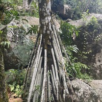 Фото отзыва 6: экскурсия ""