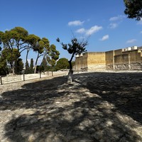 Фото отзыва 1: экскурсия "Атмосферная прогулка по Ираклиону"