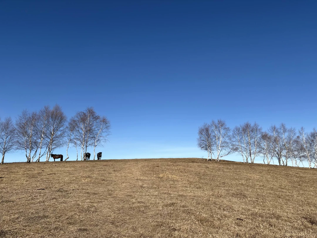 Спасибо большое Халиду за экскурсию!