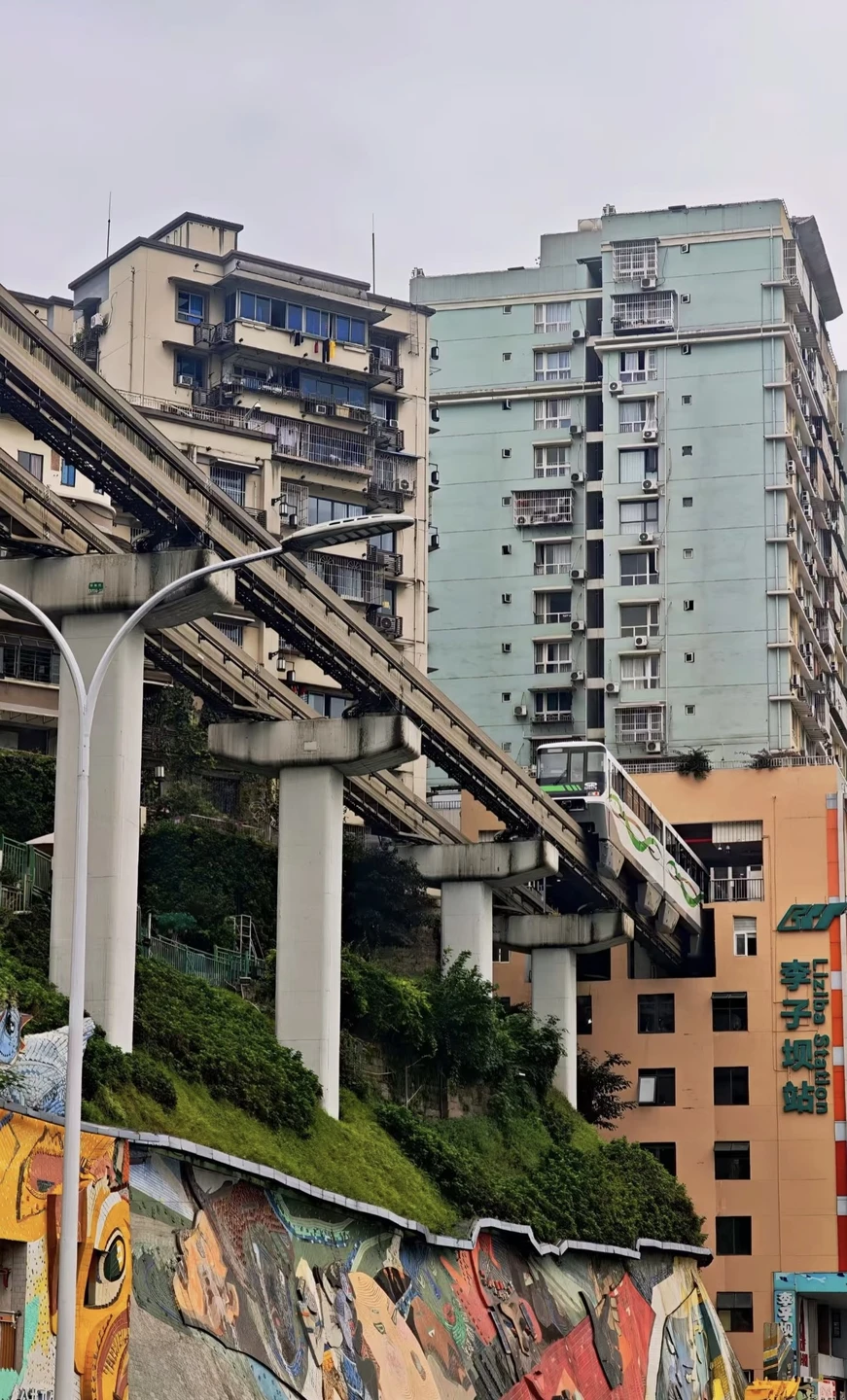 Мы провели великолепную экскурсию по Чунцину с нашим гидом Диего! Храм Лохань был спокойным и атмосферным