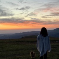 reviews img