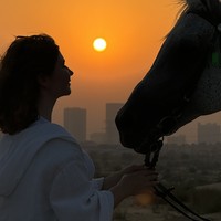reviews img