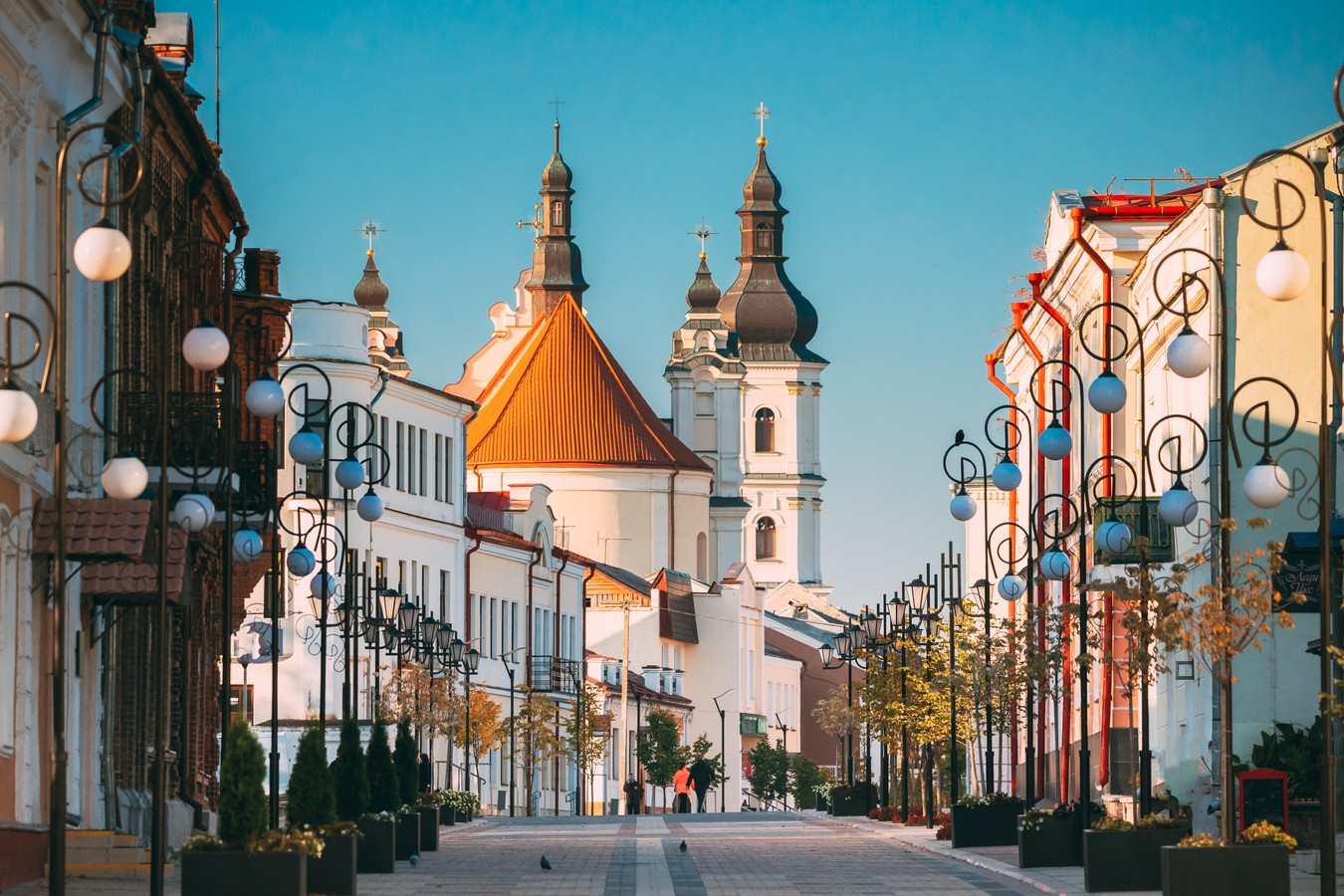 Полесье — край под белыми крыльями