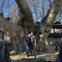 Фото отзыва 1: экскурсия "Из Ташкента — в горы Чимгана!"