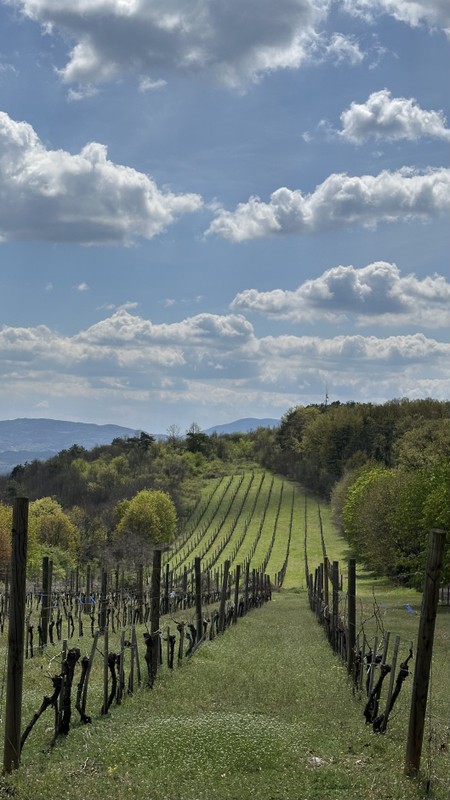 Шумадия: королевская Сербия