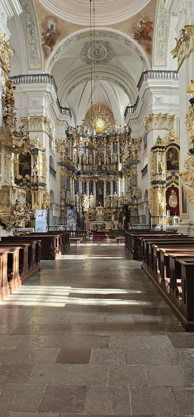 Королевский город Гродно (Олеся)