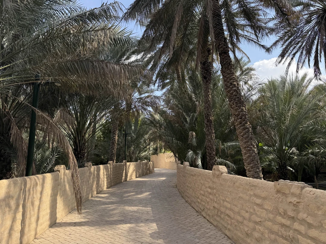 По факту, это не экскурсия, а трансфер. Не то, чтобы слишком дорогой - на такси вышло бы примерно в те же деньги.