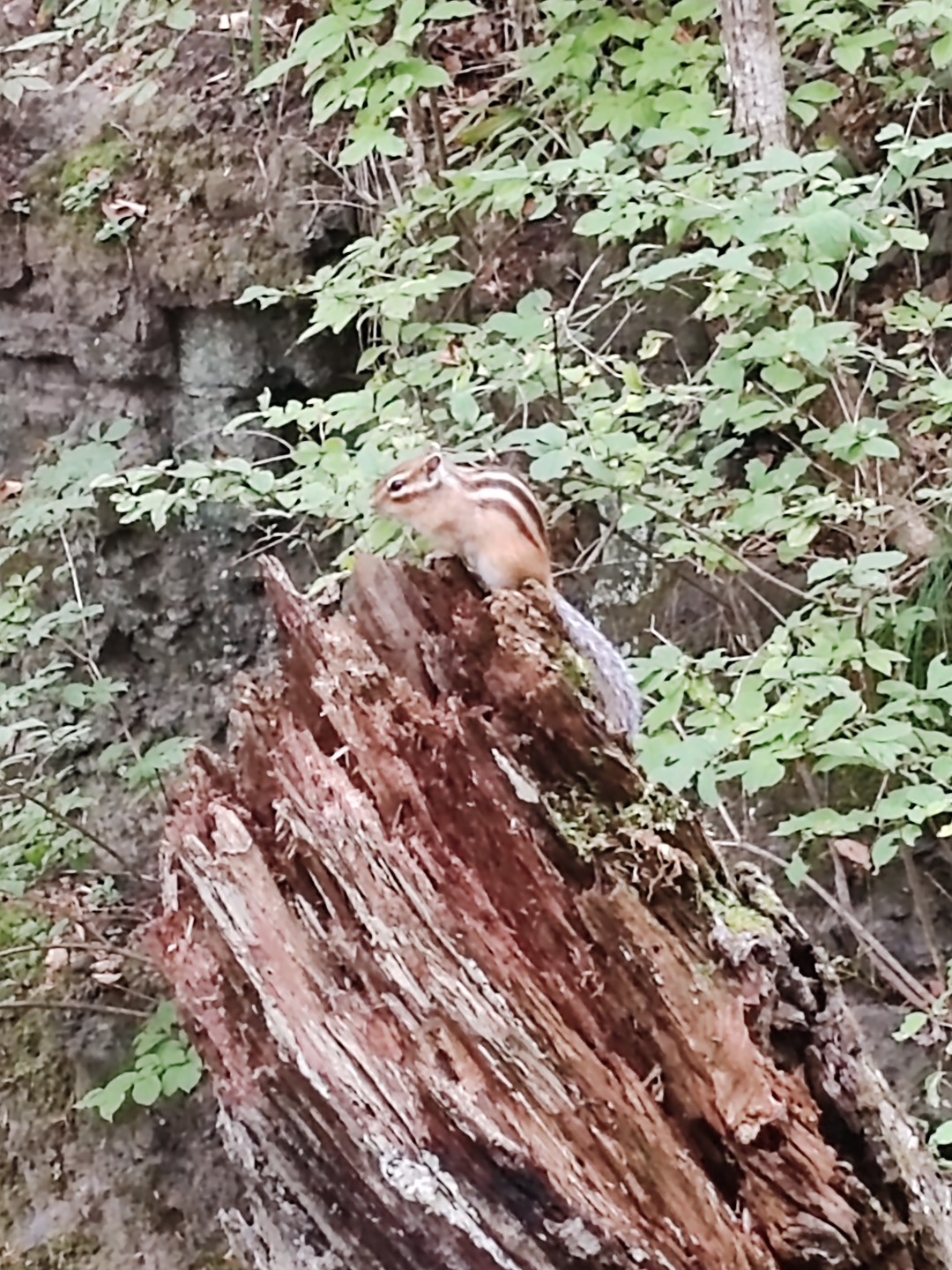 Великолепная и замечательная поездка! Наш экскурсовод и сопровождающий Игорь прекрасно владеет историческим материалом. Благодаря его рассказам