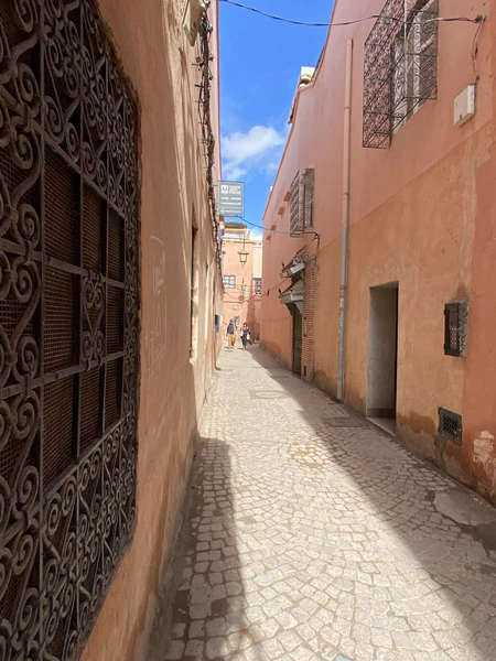 Нужно разделить отзыв на две части: первая будет посвящена гиду, который проводил экскурсию; вторая непосредственно организатору Кариму.