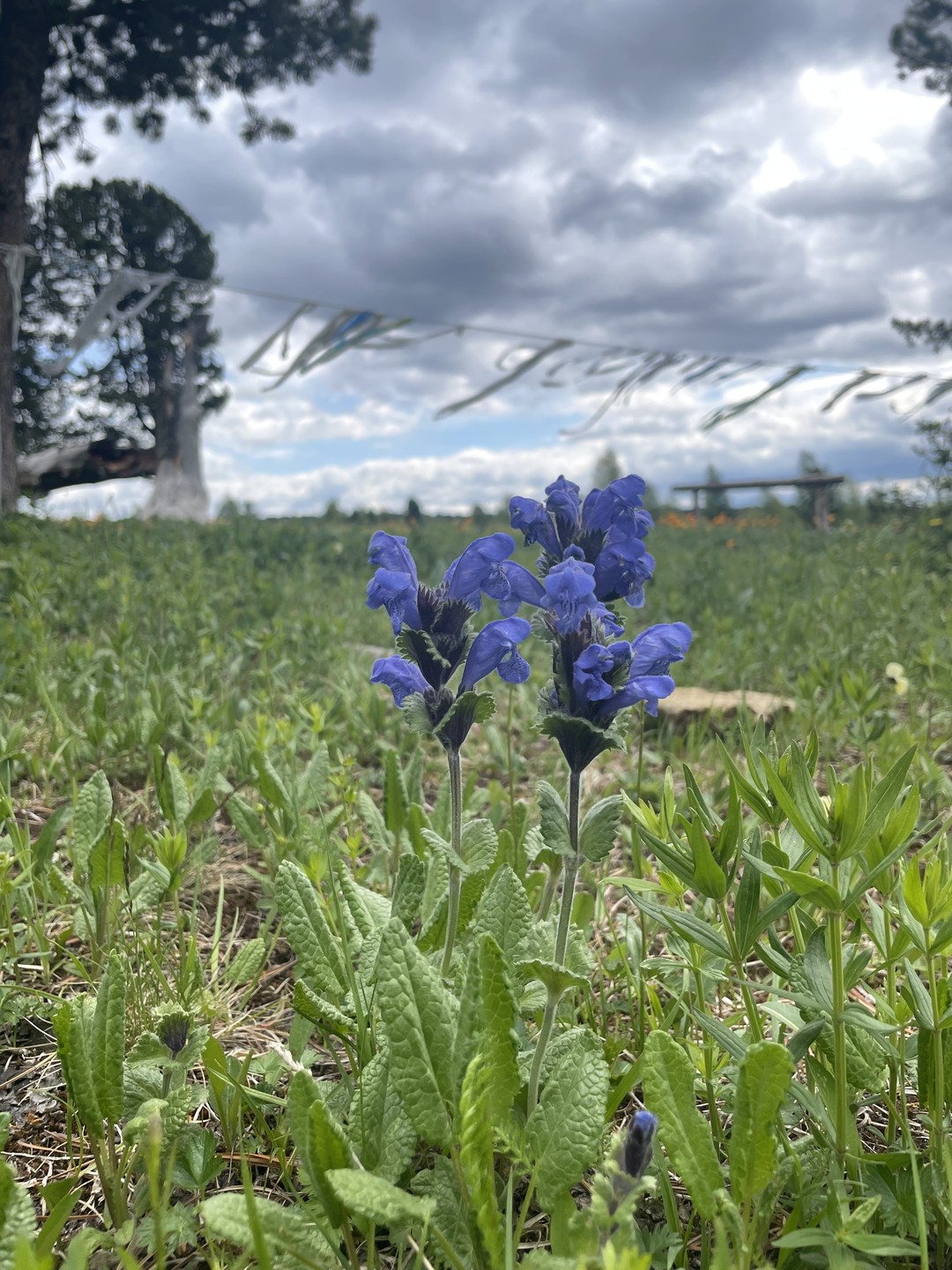 Очень довольны экскурсией и прекрасно проведённым временем с Ириной. Получили массу положительных эмоций и впечатлений от