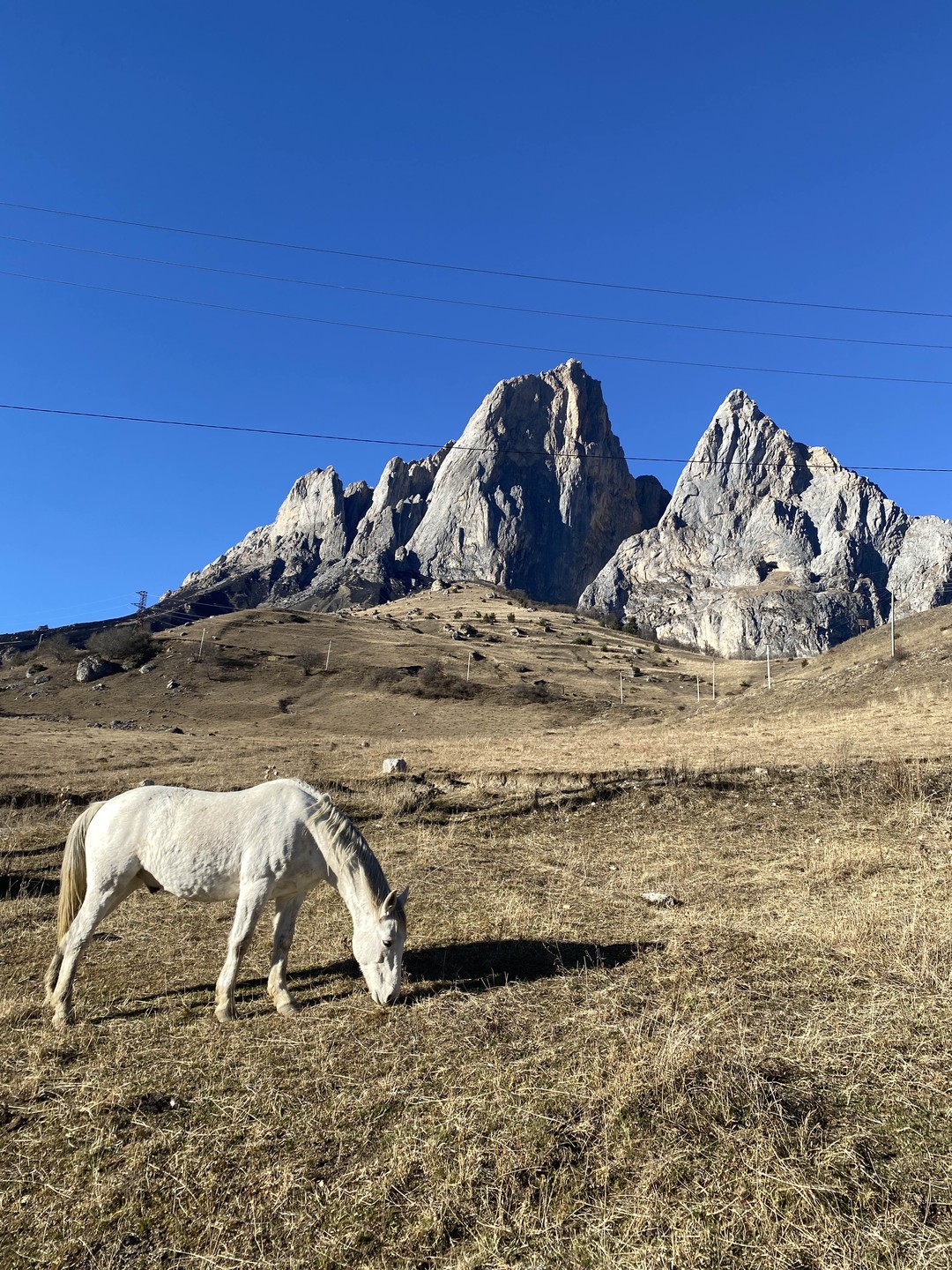 Спасибо большое Руслану – хорошему опытному гиду и просто приятному человеку. Экскурсия была очень интересная, Ингушетия
