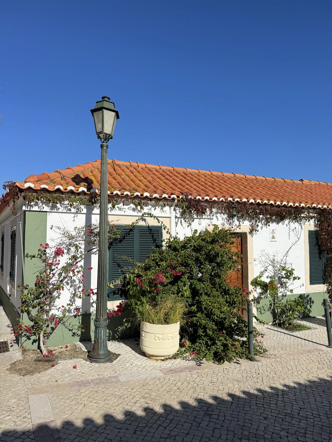 Огромное спасибо Елене за прекрасно организованную и проведенную экскурсию! Узнали много нового и интересного о Португалии!