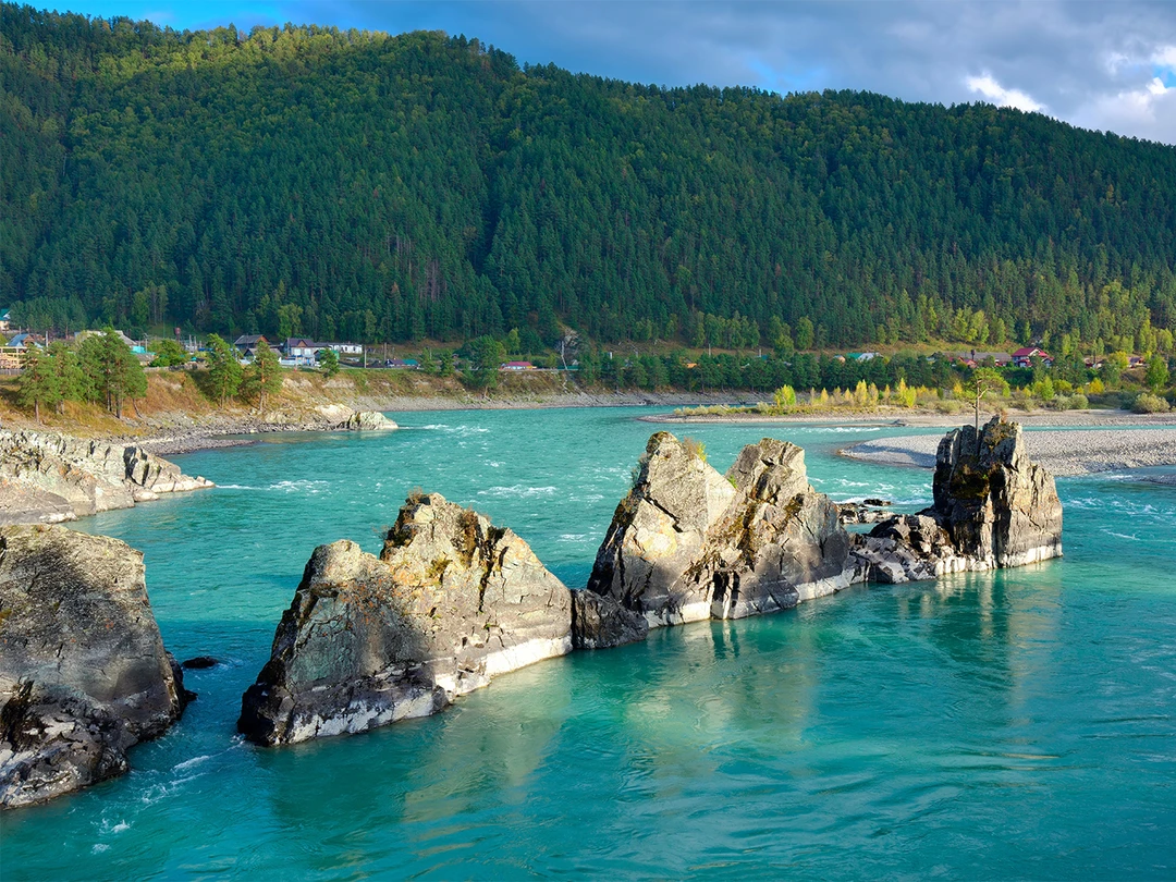 Зубы Дракона