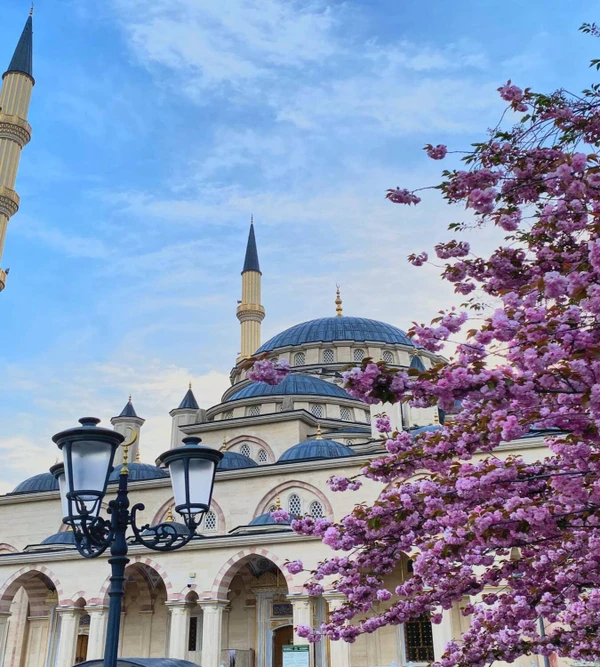 Групповое путешествие из Махачкалы в Чеченскую республику