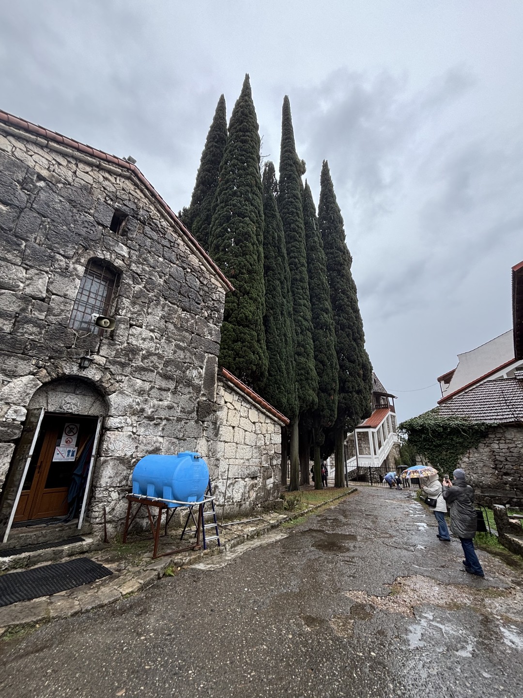 Волшебными дорогами к Рице из Сочи