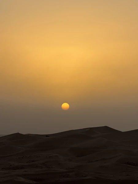 Сафари в Дубае: магия заката в пустыне без кемпов и шоу-программ (Анастасия)
