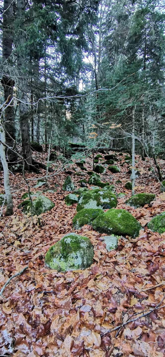 Гид Алексей задал тон поездке с самого начала, благодаря ему был отличный настрой в группе. Интересно