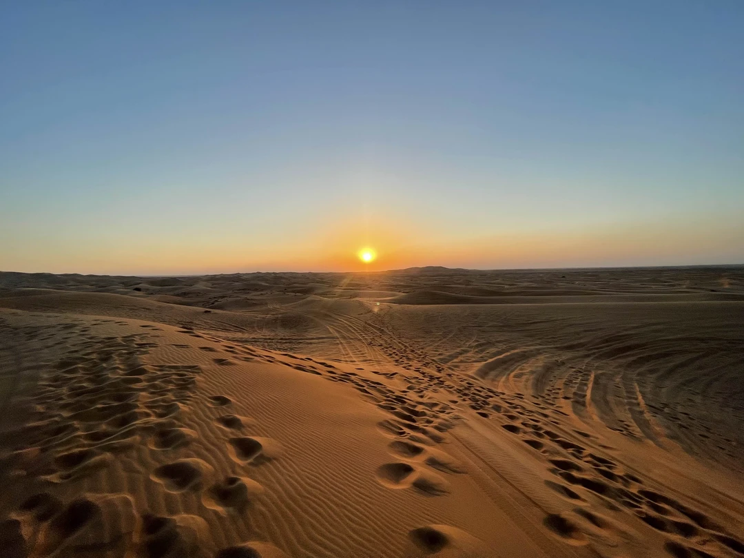 На наш взгляд всё прошло идеально! Красивейший закат в пустыне, ужин с аппетитом в лагере и