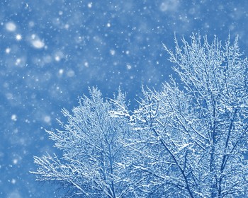 Фото отзыва 1: авторский тур "Активные развлечения и релакс на зимней Камчатке"