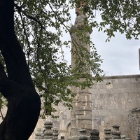 reviews img