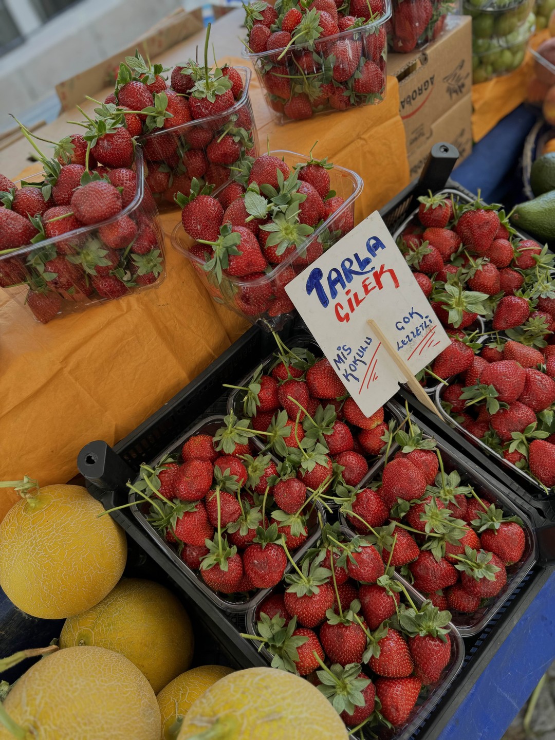 Наш гид Рахим провел нам насыщенную отличную экскурсию, всем рекомендуем, фото-коллекция пополнилась с избытком 🔥👍🏻